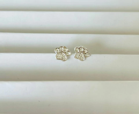 Aros Plata Importada Huellita