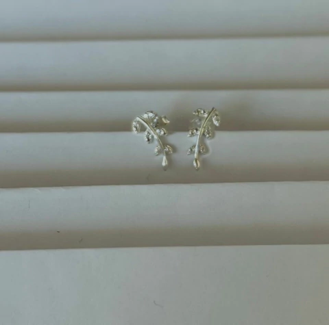 Aros Plata Importada Hoja