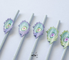SORBETES DE POLIPAPEL PAVO REAL X 10 Unidades