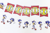 Set de Guirnaldas x 2 "SONIC"