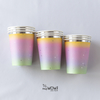 VASOS COLORES DEGRADE
