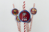 Sorbetes x 12 unidades "Paw patroll"