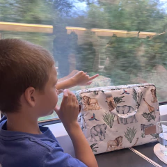 Bolso organizador | Kenya