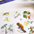 Adesivos - Biomas do Brasil - loja online
