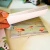 Bloco A6- Flamingo-chileno - Fauna