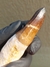 Imagem do Dente de Mosassauro Fóssil REF180
