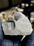 Trilobita Fóssil Proetida REF001 - comprar online