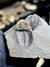 Trilobita Fóssil Proetida REF001 na internet