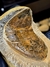 Trilobita Fóssil Megistaspis REF002 - Fósseis Brasil