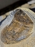 Trilobita Fóssil Megistaspis REF002 - loja online