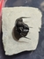 Trilobita Fóssil Cyphaspis REF001 - loja online