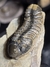 Trilobita Fóssil Struveaspis REF026 na internet
