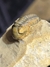 Trilobita Fóssil Reedops REF040 - Fósseis Brasil
