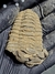 Trilobita Flexicalymene REF124 - comprar online