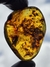 Copal Colombiano Com Insetos REF089 - comprar online
