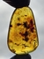 Copal Colombiano Com Insetos REF092 - comprar online
