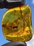 Copal Colombiano Com Insetos REF100 - comprar online