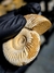 Amonita Fóssil Perisphinctes REF001 na internet