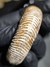 Amonita Fóssil Perisphinctes REF001 - Fósseis Brasil