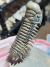 Trilobita Fóssil Crotalocephalina REF023 - Fósseis Brasil