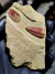 Trilobita Fóssil Bavarilla REF007 - comprar online