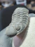 Trilobita Fóssil Phacops REF095 na internet