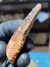 Dente Espinossauro Fóssil REF066 - Fósseis Brasil