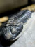 Trilobita Fóssil Pedinopariops REF006 - loja online