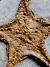 Estrelas-do-mar Fóssil REF012 - Fósseis Brasil