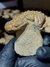Trilobita Fóssil Crotalocephalina REF025 - comprar online
