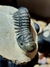 Trilobita Fóssil Crotalocephalina REF029 - comprar online