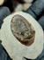 Trilobita Fóssil Scabriscutellum REF010 - comprar online