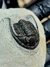 Trilobita Fóssil Cornoproetus REF008 - comprar online