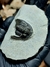 Trilobita Fóssil Cornoproetus REF010