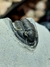 Trilobita Fóssil Cornoproetus REF010 - comprar online