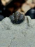 Trilobita Fóssil Cornoproetus REF010 - Fósseis Brasil