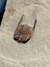 Trilobita Fóssil Parabathycheilus REF006 na internet