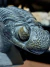 Trilobita Fóssil Phacops REF135 - comprar online