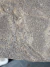 Icnofóssil Trilobita REF004 - comprar online