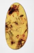 Copal Colombiano Com Insetos REF130