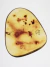 Copal Colombiano Com Insetos REF141 - comprar online