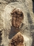 Trilobita Fóssil Euloma REF006 - comprar online