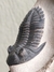 Trilobita Fóssil Hollardops REF021 na internet