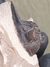 Trilobita Fóssil Hollardops REF022 - Fósseis Brasil