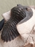 Trilobita Fóssil Hollardops REF022 - comprar online