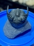 Trilobita Fóssil Hollardops REF041