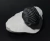 Trilobita Fóssil Phacops REF019 - comprar online
