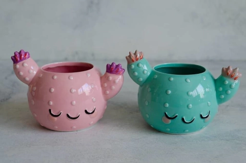 Mates cactus + bombilla