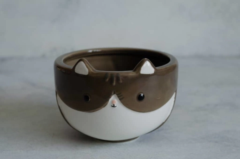 Bowl gato