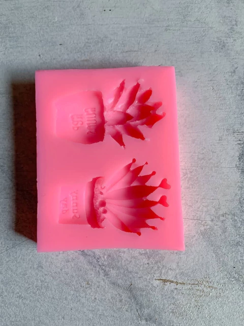 Molde silicona suculentas